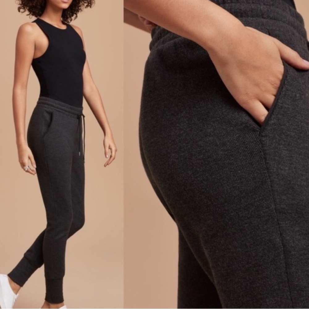 Aritzia Wilfred Free Joggers